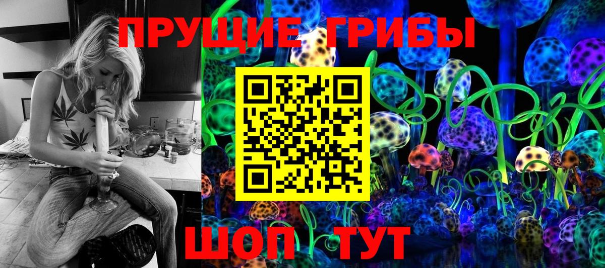 Псилоцибиновые грибы Psilocybine cubensis Псков