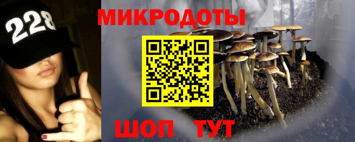 Псков  Галлюциногенные грибы прущие грибы  Галлюциногенные грибы Cubensis  купить   Вход с VPN 